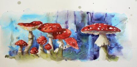 За грибами рисунок