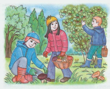 Сказочная Поляна с грибами