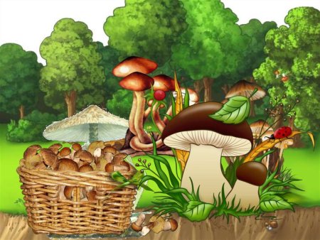 Поляна с грибами для детей