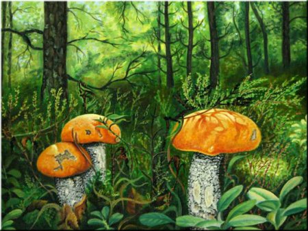 Сказочное царство грибов