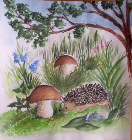 Илья Есаулов иллюстратор