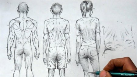 Back рисунок