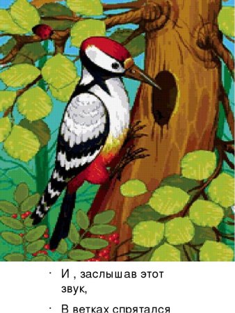 Пришвин Лесной доктор