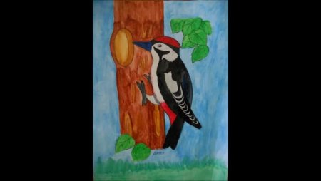 Рисование дятла