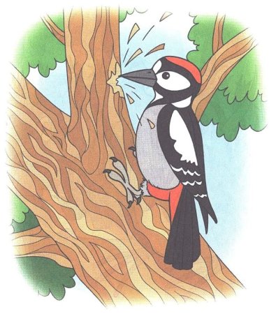 Лесной доктор пришвин иллюстрации