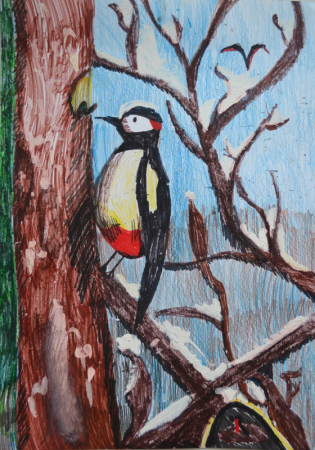 Рисование дятла