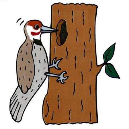 Дятел долбит дерево