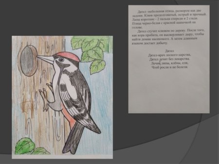 Дятел схема