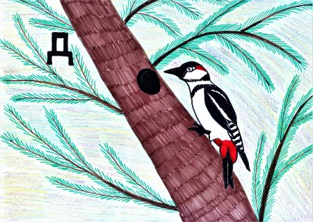 Домик для дятла