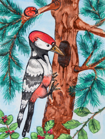 Михаил пришвин Лесной доктор