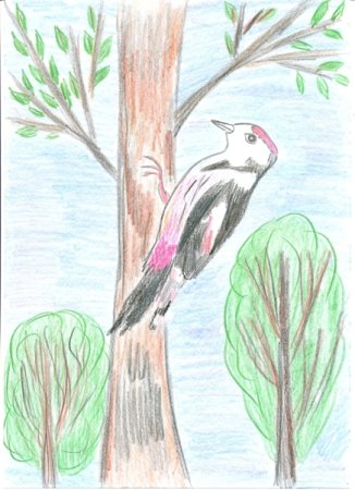 Детский рисунок дятел на дереве