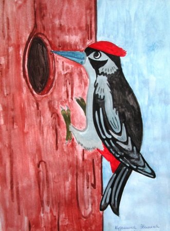 Рисование дятла