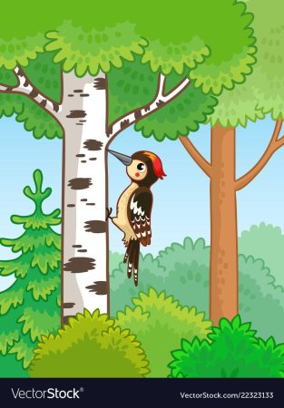 Дятел на дереве рисунок