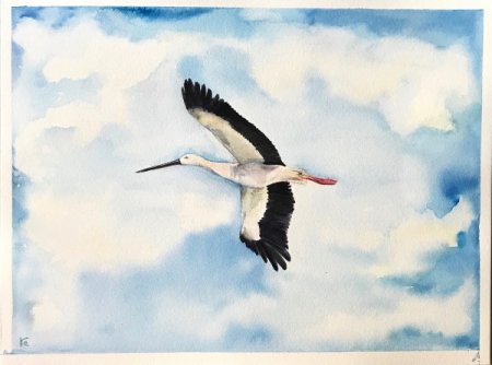 Аист акварель