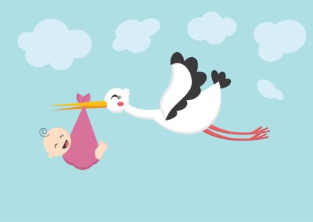 Клин журавлей Стефашина