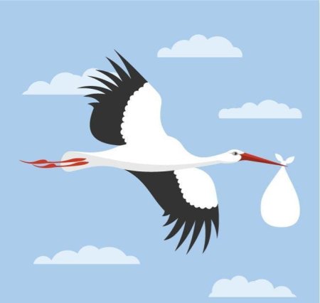 Китайские пейзажи с журавлями