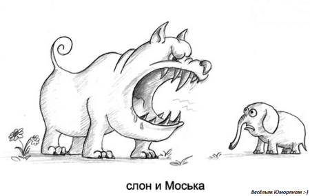 Сказка слон и моська