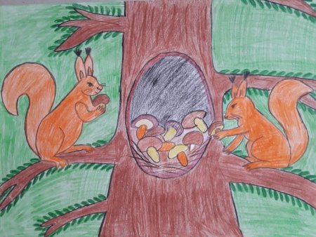 Белка в дупле иллюстрация