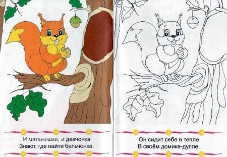 Белка в дупле раскраска