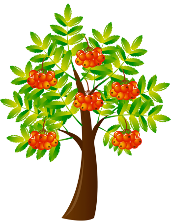 Рябина для детей