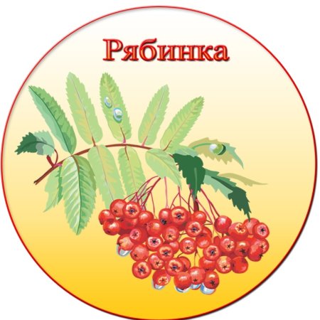 Группа Рябинка логотип