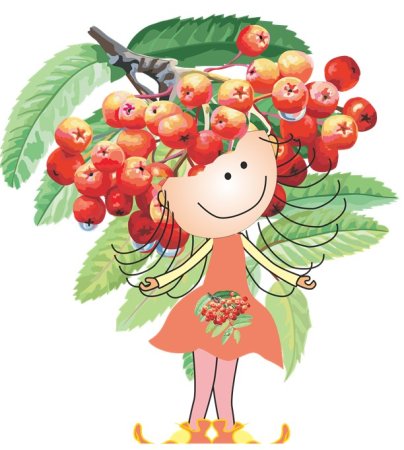 Рябина дерево лист плод