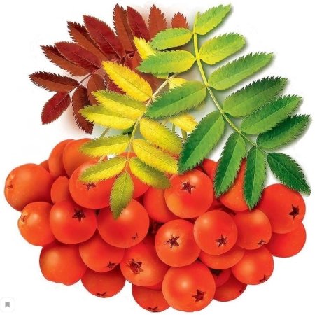 Осенние украшения на скотче