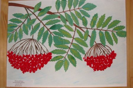Рисование Рябинка старшая группа