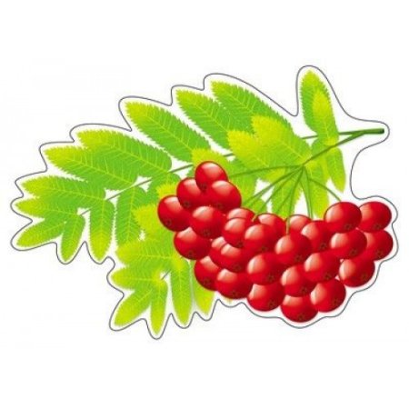 Осенние листья рябины