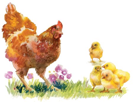 Курица с цыплятами для детей