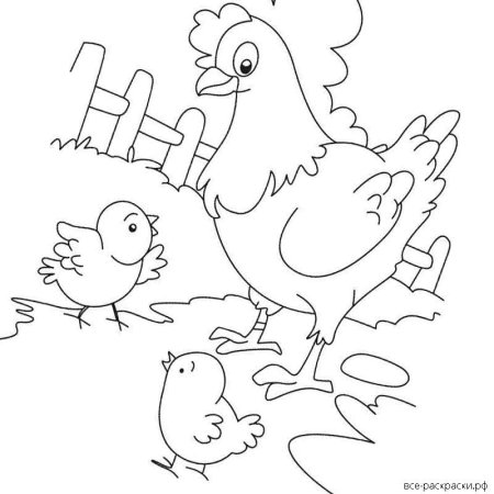 Курица раскраска для детей 3-4 лет