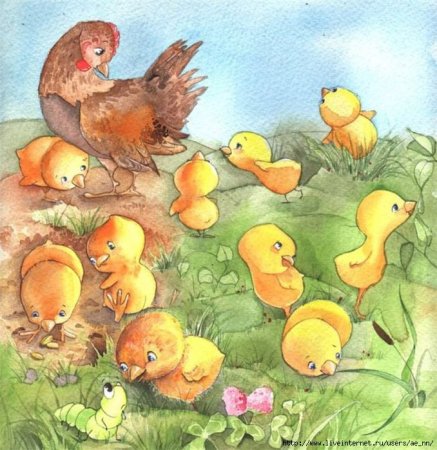 Цыпленок рисунок