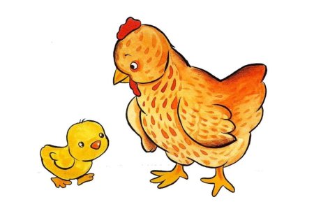 Курица с цыплятами для детей