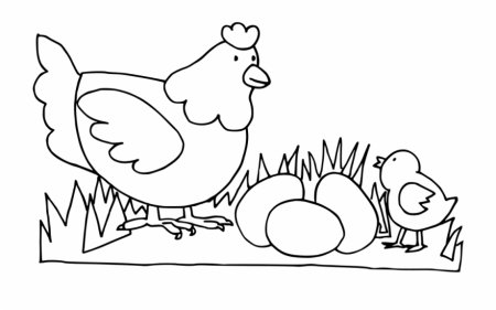 Курица раскраска