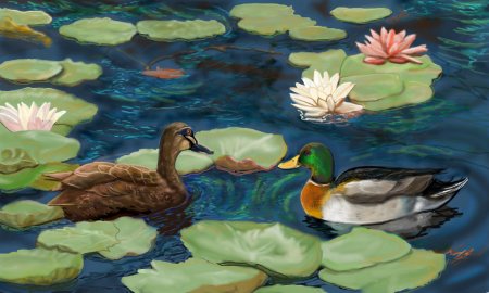 Утки и кувшинки