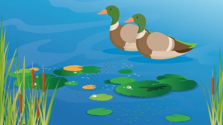 Рисование утки в пруду