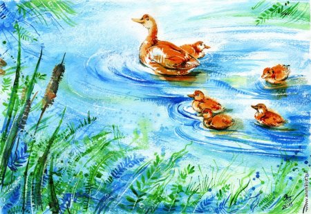 Утки в пруду акварель