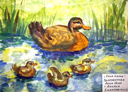 Утка хромка пришвин