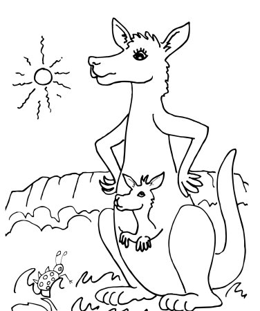 Тараканище кенгуру