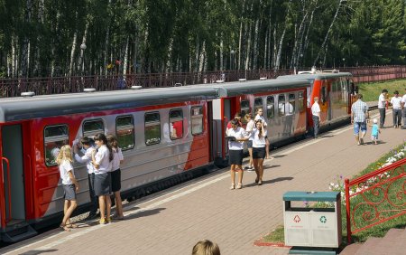 Новомосковск Тульская область ДЖД