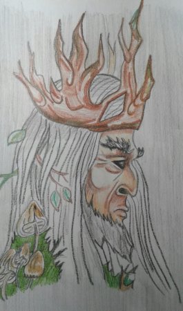 Рисунок к балладе Шуберта Лесной царь