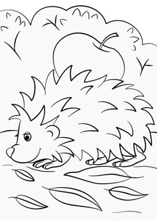 Раскраска Ёжик