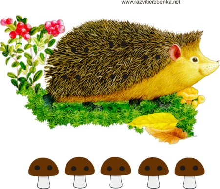 Ежик цветной для детей