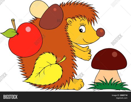 Ежик и грибочек