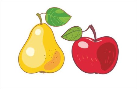 Яблоко и груша рисунок