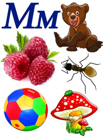 Слова на букву м для детей