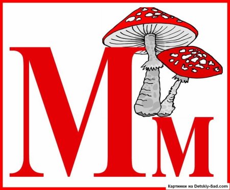 Алфавит по буквам