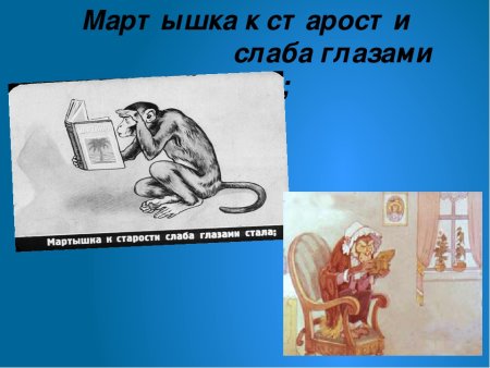Мартышка к старости слаба глазами