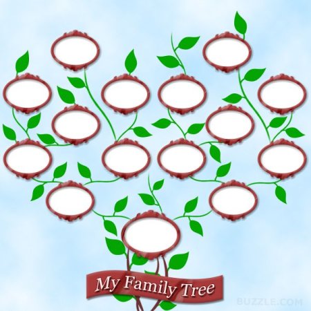 Генеалогическое дерево с яблоками