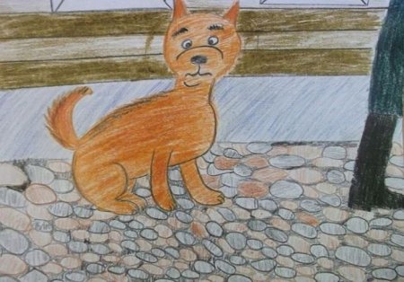 Каштанка рисунок к рассказу Чехова